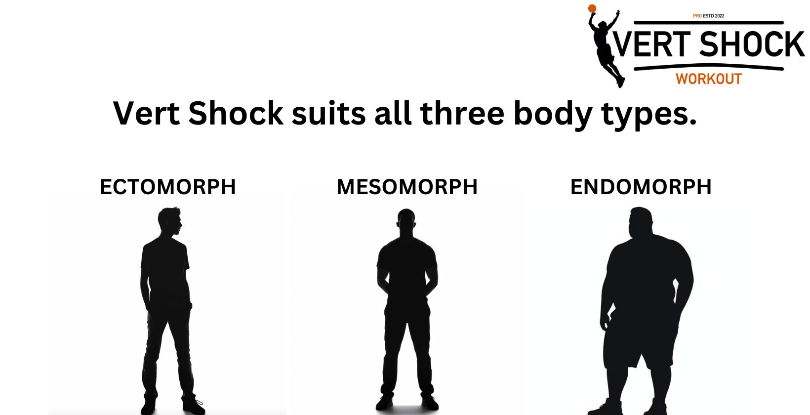 body types suitable for vert shock workout