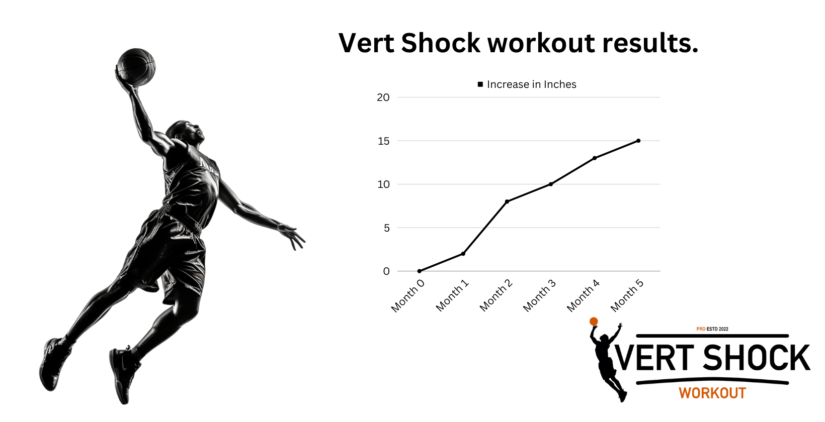 progression and results of vert shock workout