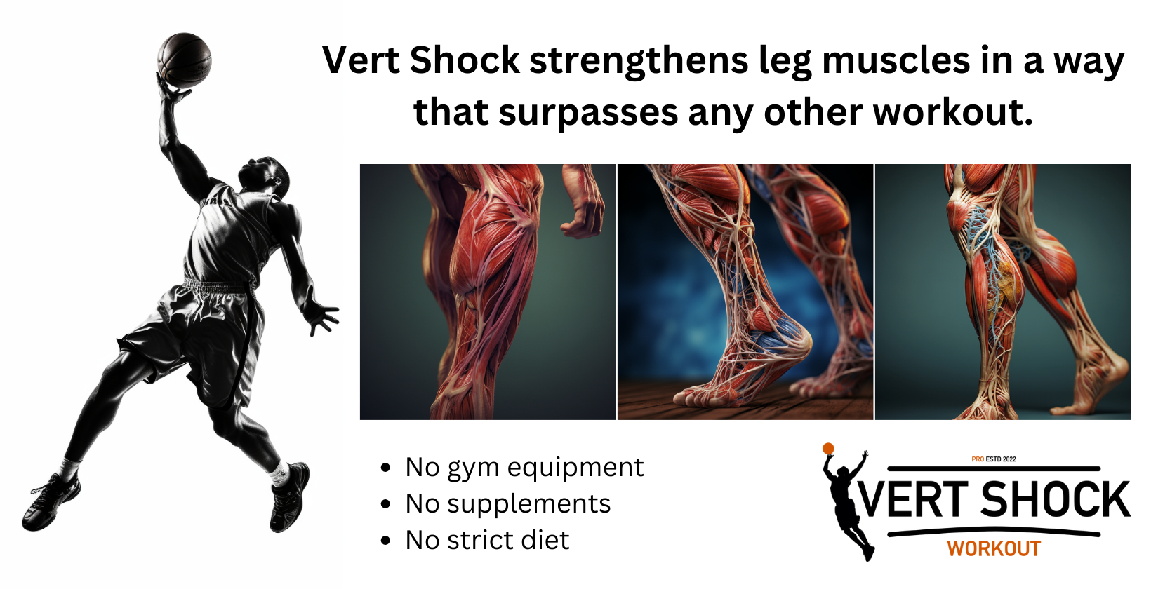 Vert Shock workout explanation and overview